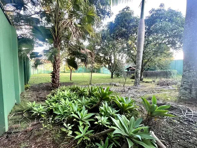 Terreno com 373m², à venda, no bairro Vila Resende em Caçapava