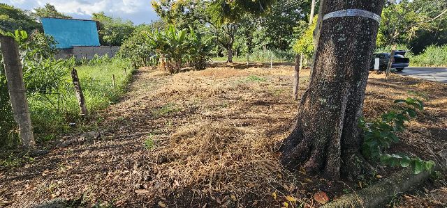 Terreno com 317m², à venda, no bairro Vitória Vale II em Pindamonhangaba