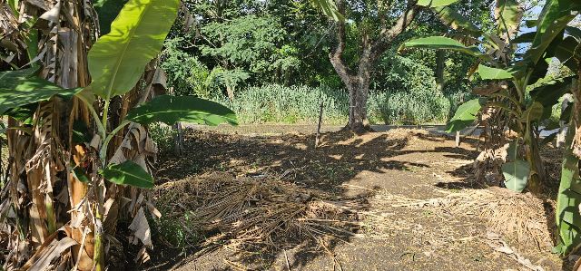Terreno com 317m², à venda, no bairro Vitória Vale II em Pindamonhangaba