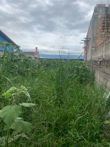 Terreno com 250m², à venda, no bairro Residencial e Comercial Jardim Yassuda em Pindamonhangaba