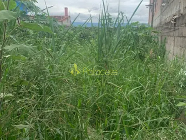 Terreno com 250m², à venda, no bairro Residencial e Comercial Jardim Yassuda em Pindamonhangaba