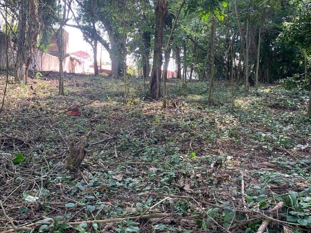 Terreno com 1620m², à venda, no bairro Bela Vista em Pindamonhangaba
