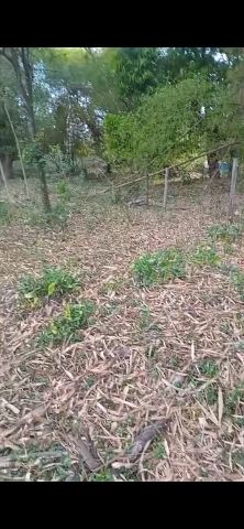 Terreno com 2200m², à venda, no bairro Vila São Benedito em Pindamonhangaba