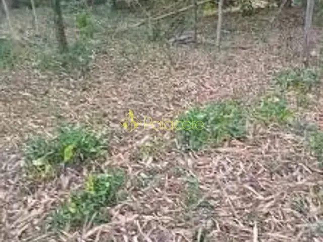 Terreno com 2200m², à venda, no bairro Vila São Benedito em Pindamonhangaba