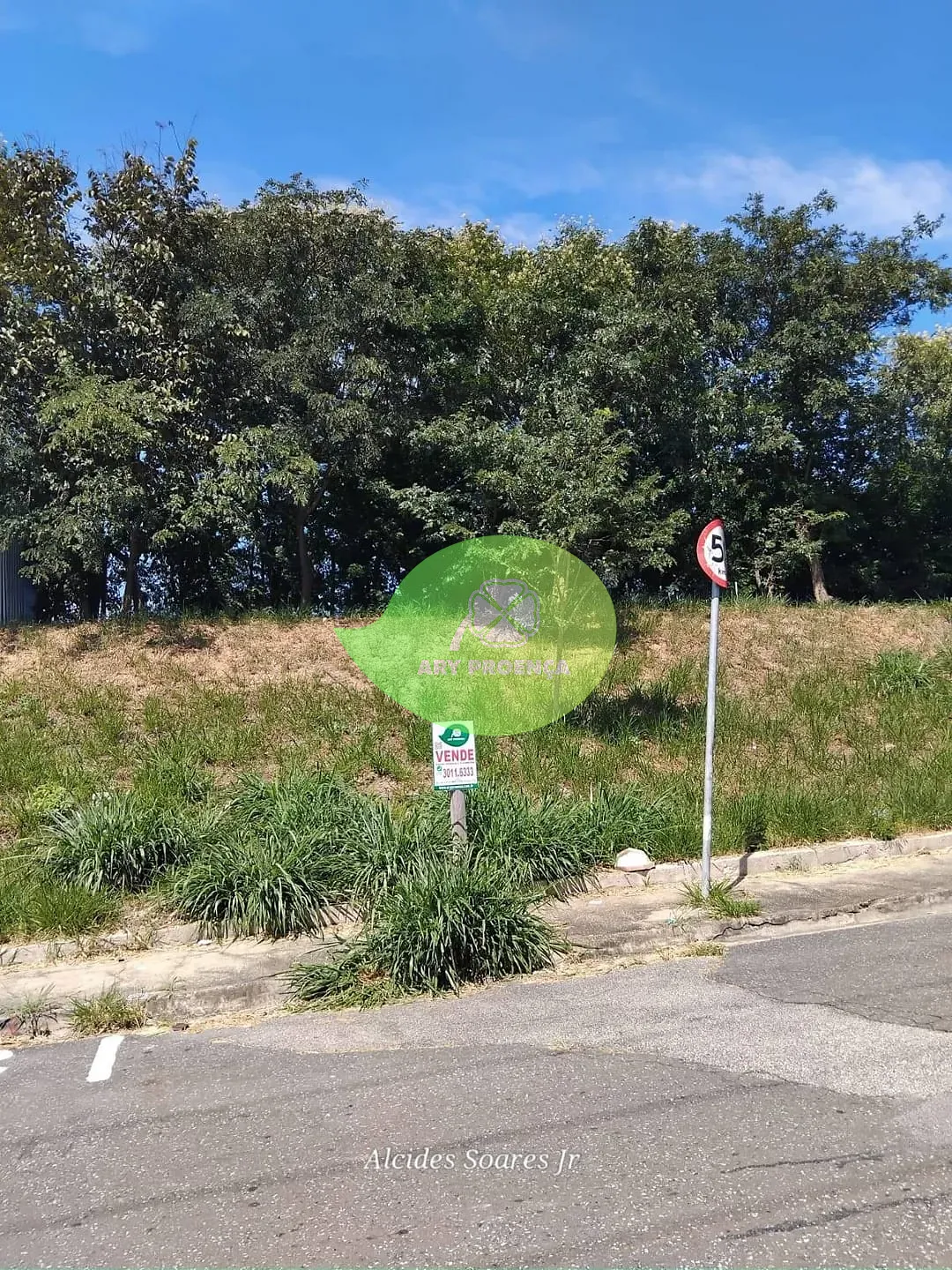 Foto 5