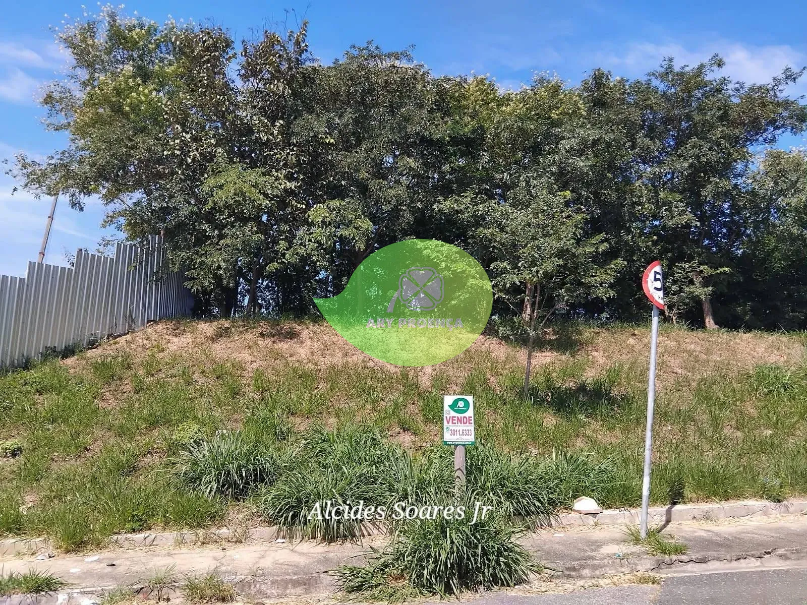 Foto 6