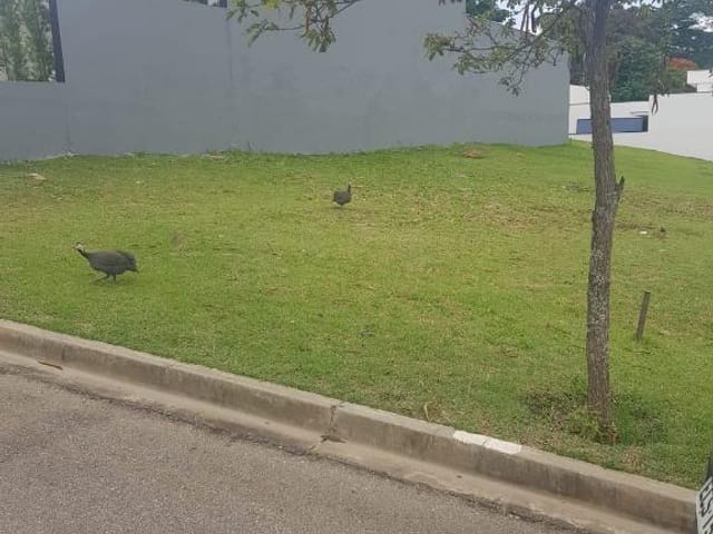 Foto do Terreno - Terreno à venda, 289 m² por R$ 190.000,00 - Condomínio Villagio Di Capri - Sorocaba/SP | Ary Proenca Negócios Imobiliários Ltda