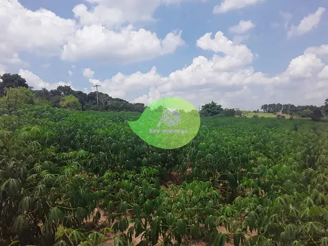 Terreno com 20000m², à venda, no bairro Canguera em Capela do Alto