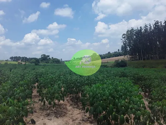 Terreno com 20000m², à venda, no bairro Canguera em Capela do Alto