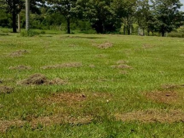 Foto do Terreno - Terreno à venda, 1310 m² por R$ 290.000,00 - Condomínio Vivendas do Lago - Sorocaba/SP | Ary Proenca Negócios Imobiliários Ltda