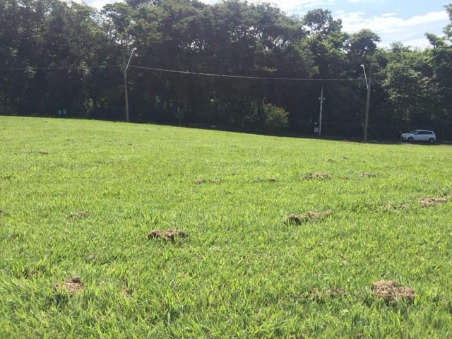 Foto do Terreno - Terreno à venda 1032M², Caguassu, Sorocaba - SP | Condomínio Vale do Lago | Ary Proenca Negócios Imobiliários Ltda
