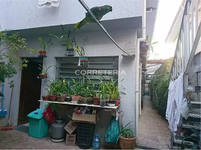 Casa 4 quartos e 4 banheiros, à venda, no bairro Vila Mascote em São Paulo