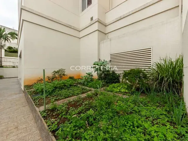 Apartamento 3 quartos e 2 banheiros, à venda, no bairro Vila da Saúde em São Paulo