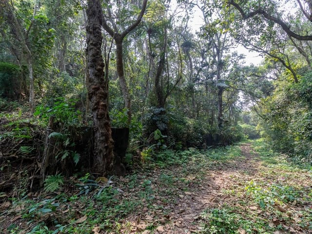 Foto do Terreno - Terreno/Lote Residencial à venda 2913M² Chácara Vista Alegre São Paulo - SP | Correteria Imóveis