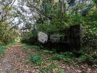 Foto do Terreno-Terreno/Lote Residencial à venda 2913M² Chácara Vista Alegre São Paulo - SP