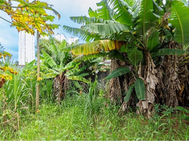 Foto do Casa - Casa à venda 2 Quartos 5 Vagas 45M² Cidade Dutra São Paulo - SP | Lares e Andares Imóveis