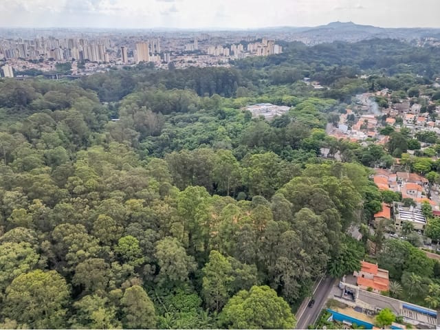 Foto do Apartamento - Apartamento à venda 3 Quartos 60 Vagas 96M² Tucuruvi São Paulo - SP | Lares e Andares Imóveis