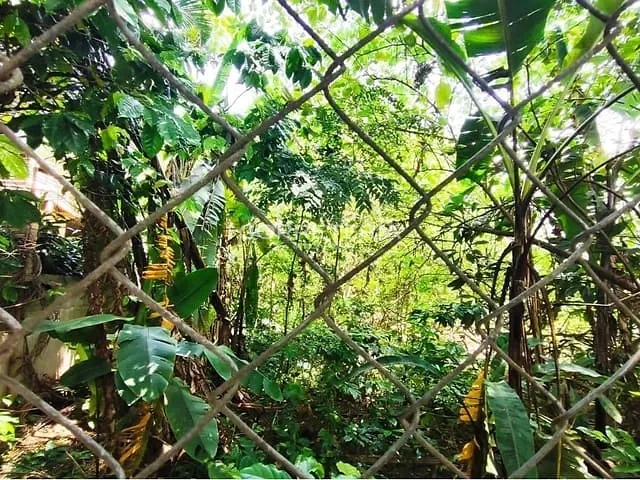 Terreno à venda, no bairro Butantã em São Paulo