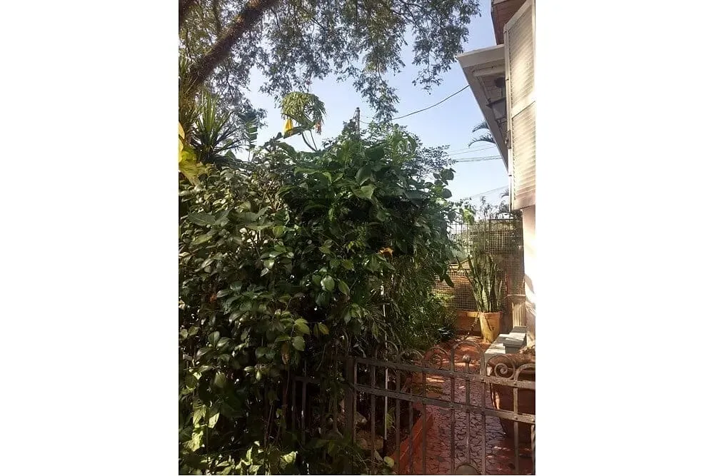 Casa, 3 quartos, 283 m² - Foto 27