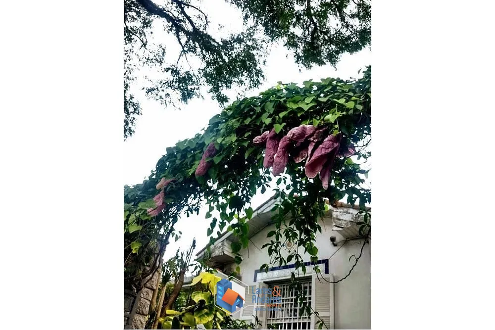 Casa, 3 quartos, 283 m² - Foto 23
