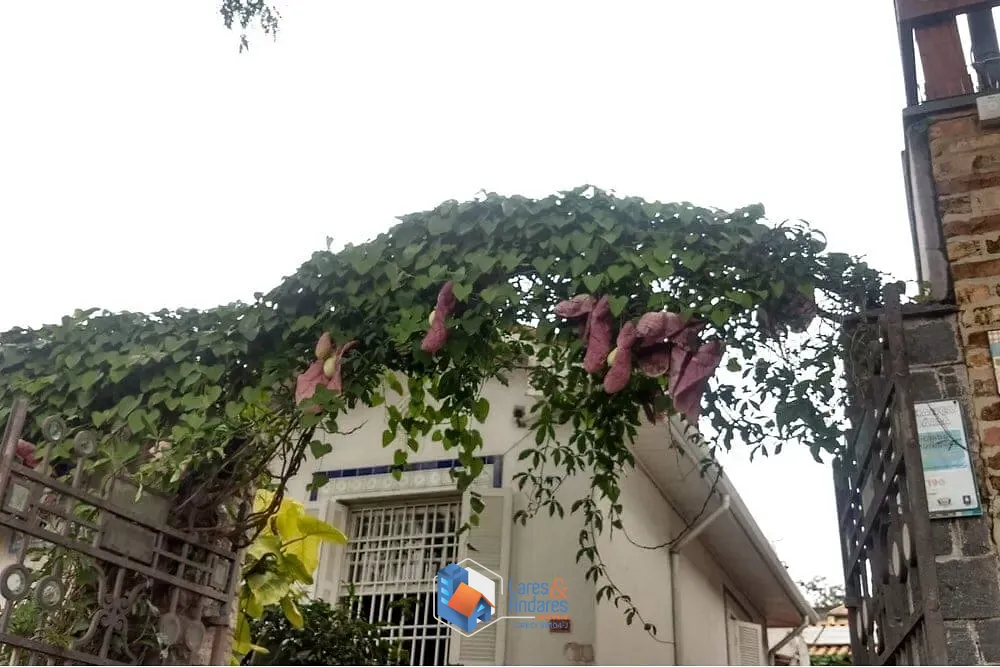 Casa, 3 quartos, 283 m² - Foto 24