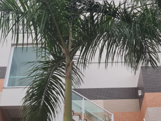 Foto do Apartamento - Apartamento à venda 1 Quarto 1 Vaga 42M² Santana São Paulo - SP | Lotus Santana | YBY Imóveis