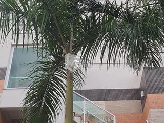 Foto do Apartamento-Apartamento à venda 1 Quarto 1 Vaga 42M² Santana São Paulo - SP | Lotus Santana