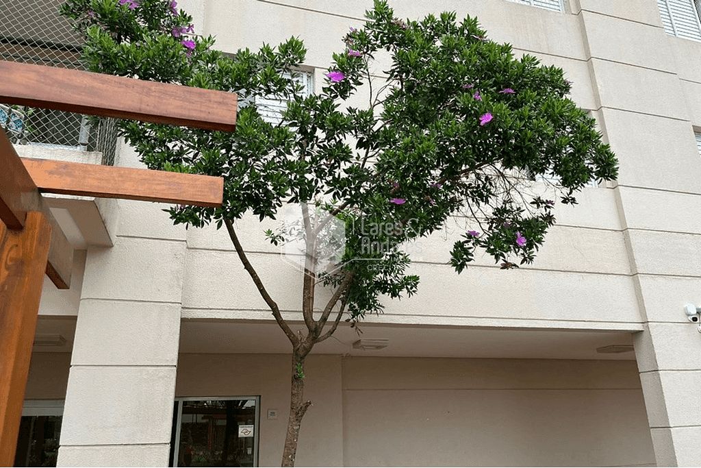 Apartamento à venda com 3 quartos, 90m² - Foto 10