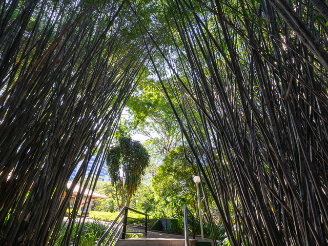 Foto do Apartamento - Apartamento à venda 4 Quartos 2 Suites 2 Vagas 225M² Vila Morse São Paulo - SP | Lares e Andares Imóveis