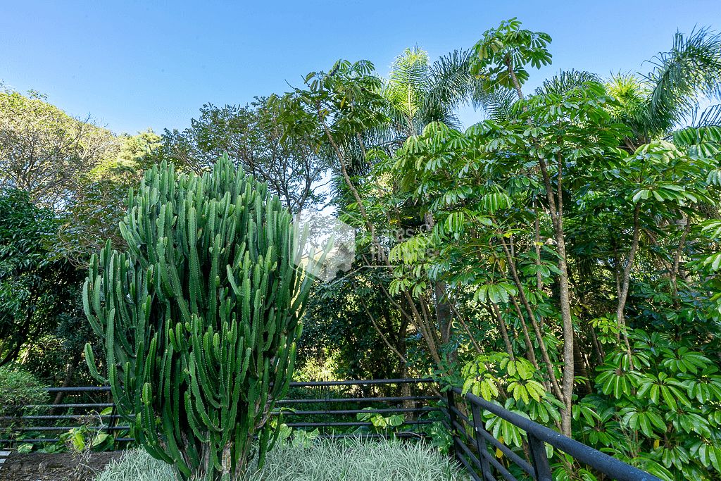Apartamento à venda com 4 quartos, 225m² - Foto 9