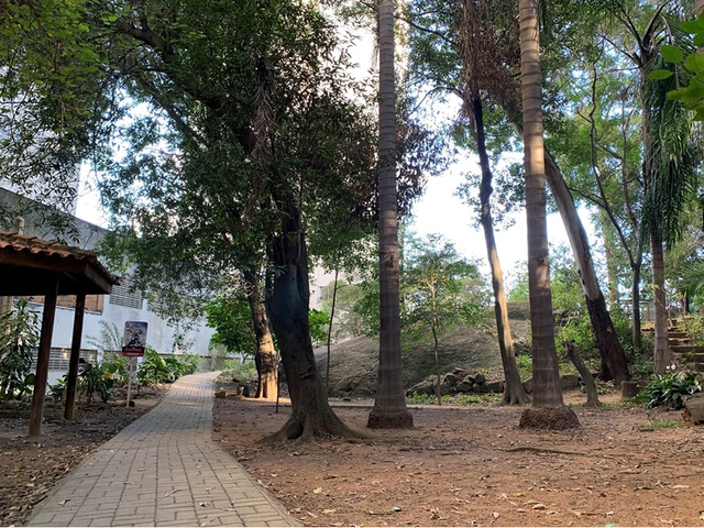 Foto do Apartamento - Apartamento à venda 3 Quartos 1 Suite 1 Vaga 73M² Freguesia do Ó São Paulo - SP | Lares e Andares Imóveis