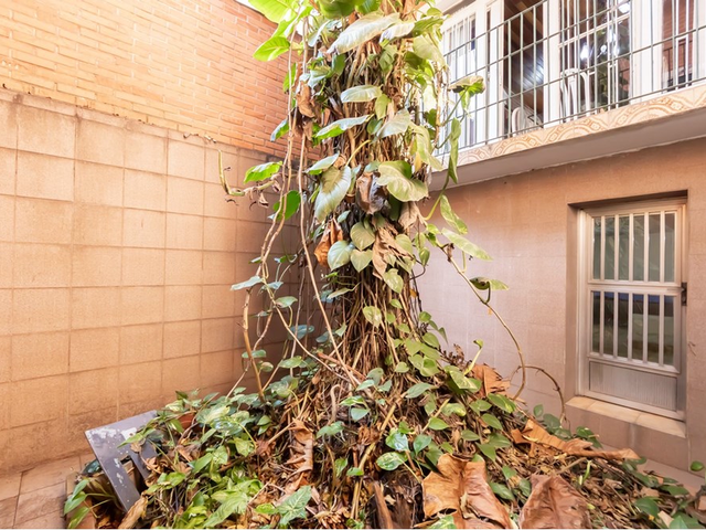Foto do Casa - Casa à venda 4 Quartos 1 Suite 4 Vagas 350M² Vila Guarani (Z Sul) São Paulo - SP | Lares e Andares Imóveis