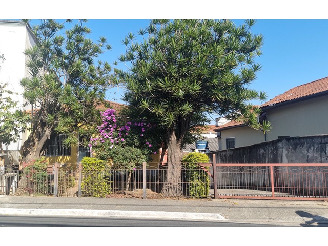 Foto do Terreno - Terreno/Lote Residencial à venda 366M² Chora Menino São Paulo - SP | Lares e Andares Imóveis