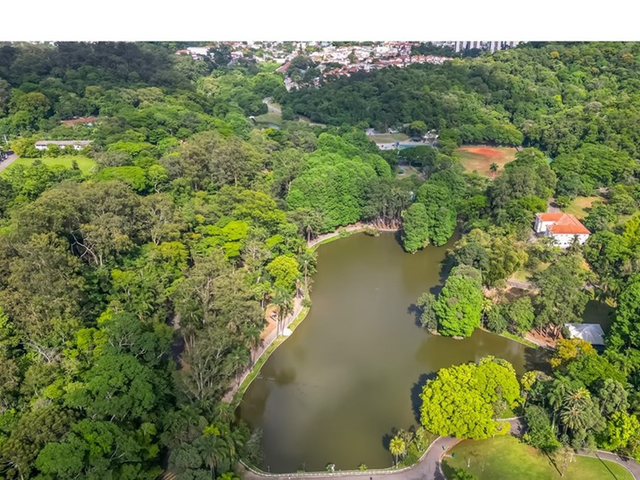 Foto do Terreno - Terreno/Lote Residencial à venda 658M² Horto Florestal São Paulo - SP | Lares e Andares Imóveis