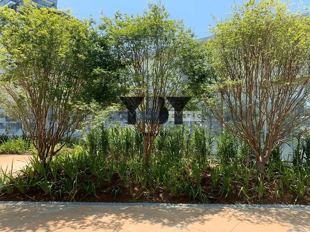 Sala-Conjunto, 46 m² - Foto 6