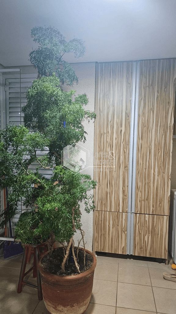 Apartamento, 3 quartos, 84 m² - Foto 23