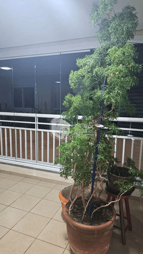 Apartamento, 3 quartos, 84 m² - Foto 24