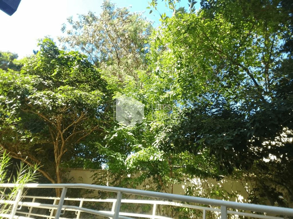 Apartamento, 3 quartos, 84 m² - Foto 13