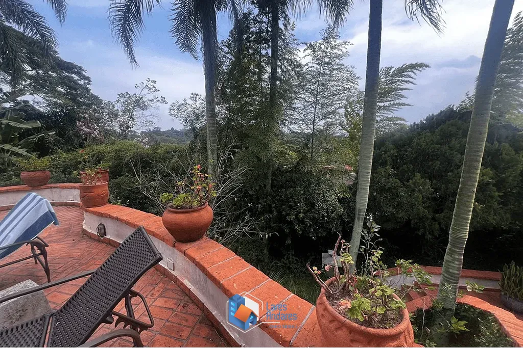Casa, 4 quartos, 809 m² - Foto 13