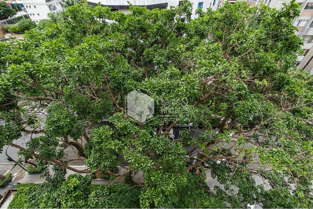 Apartamento, 4 quartos, 171 m² - Foto 53