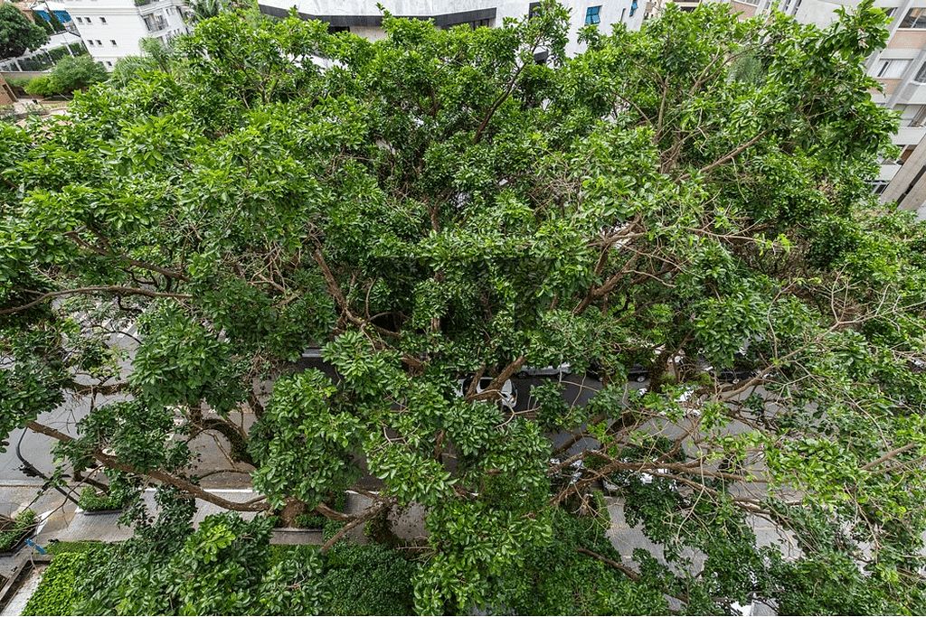 Apartamento, 4 quartos, 171 m² - Foto 53