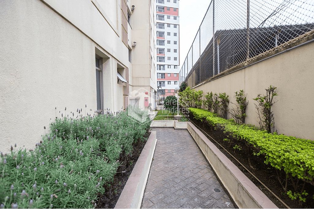 Apartamento, 3 quartos, 70 m² - Foto 9