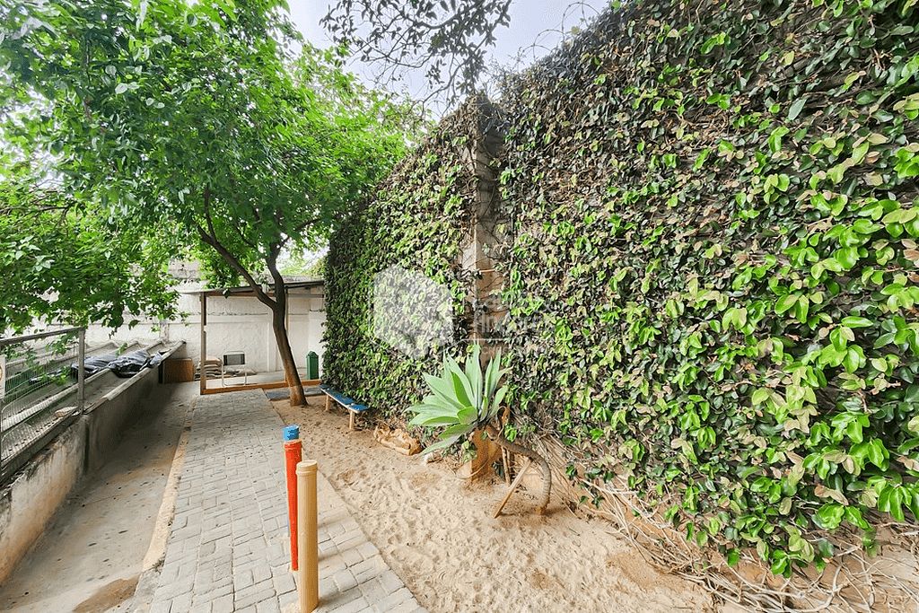 Apartamento, 3 quartos, 67 m² - Foto 14