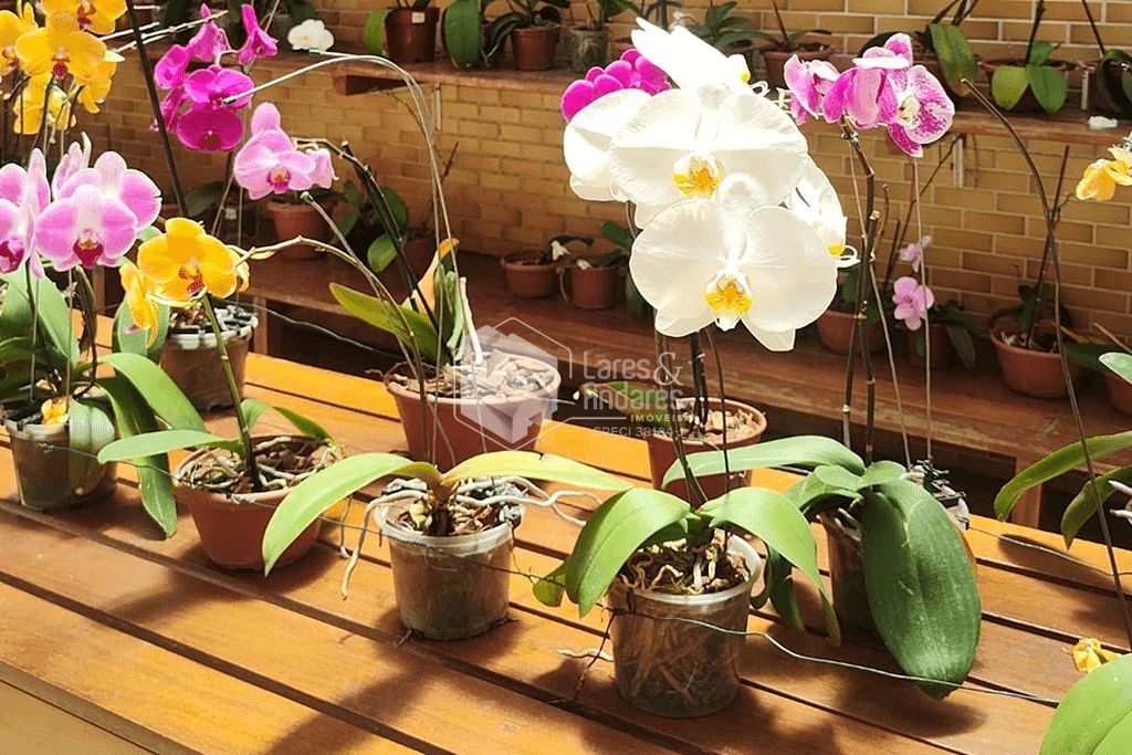 Apartamento, 3 quartos, 150 m² - Foto 17