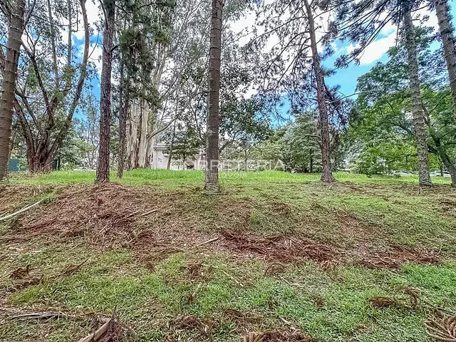Terreno à venda, no bairro Chácara Flora em São Paulo