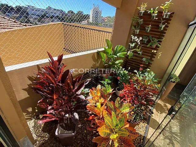 Apartamento 2 quartos e 1 banheiro, à venda, no bairro Jardim Oriental em São Paulo