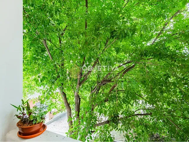 Apartamento 1 quarto e 1 banheiro, à venda, no bairro São João em Porto Alegre