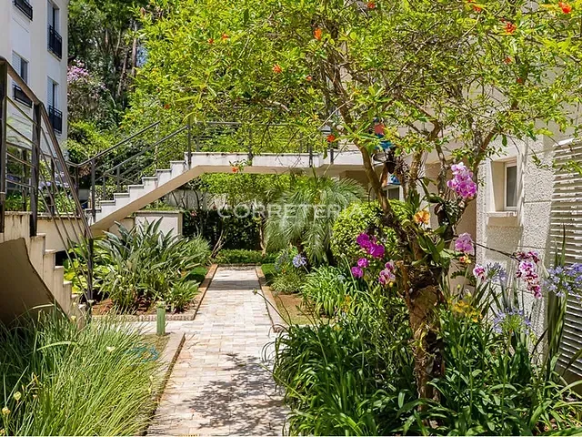 Casa 3 quartos e 3 banheiros, à venda, no bairro Vila Andrade em São Paulo